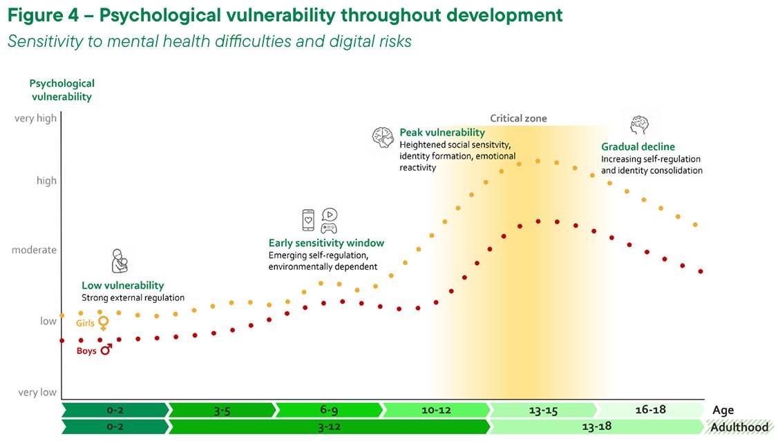 Figure 3 Psychological vulnerability throughout development.Source: Taken from the Report of the Co-Chairs of the Special Panel().